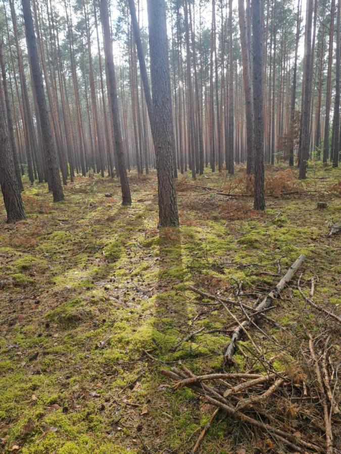 Vila Sloneczny Zakatek Lubrza  Exteriér fotografie
